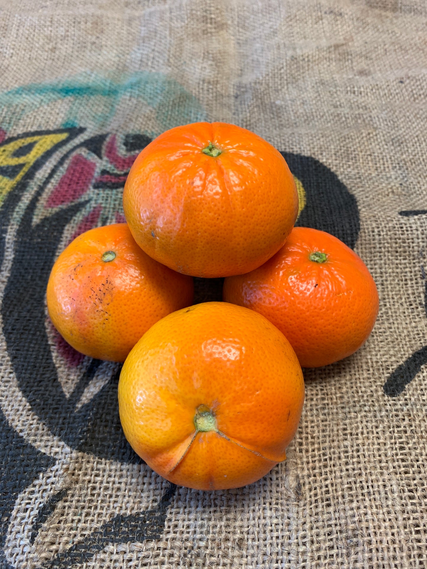 Mandarins - Afourer