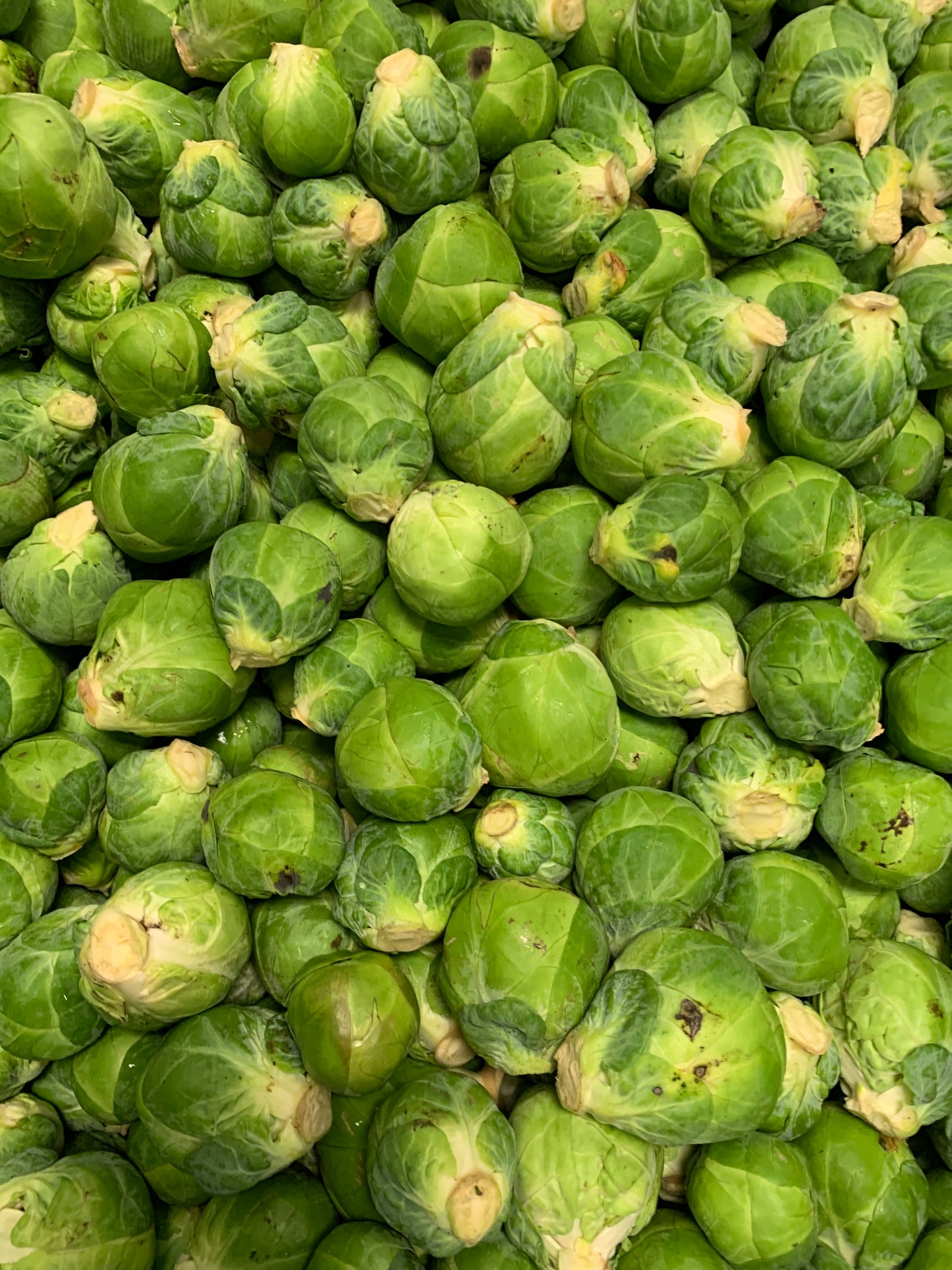 Brussel sprouts