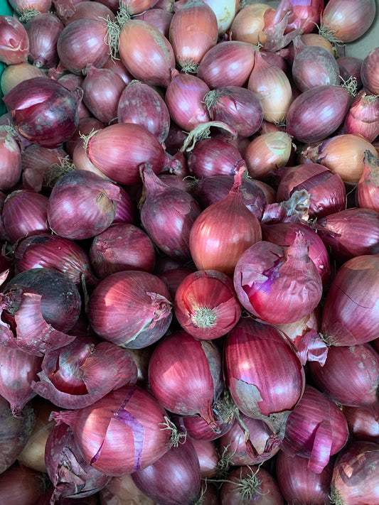 Red pickling onions