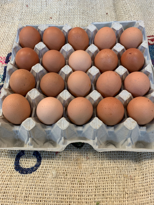 Eggs tray of 20 jumbo (8+) Free range