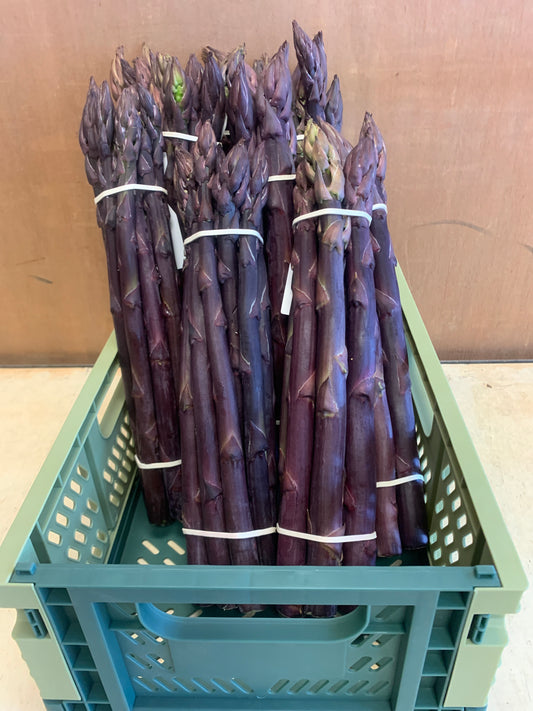 Asparagus - Purple