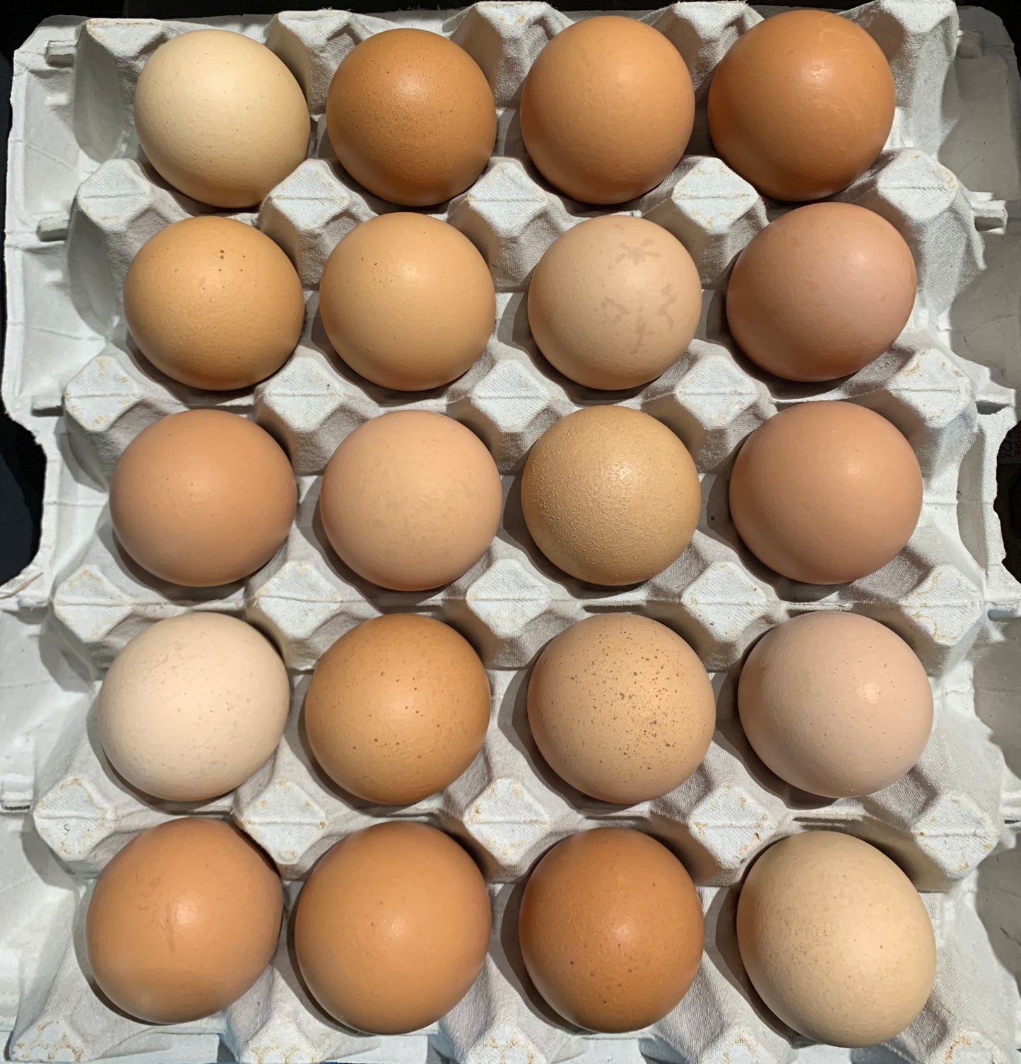 Geraldine Free Range Jumbo 20’s