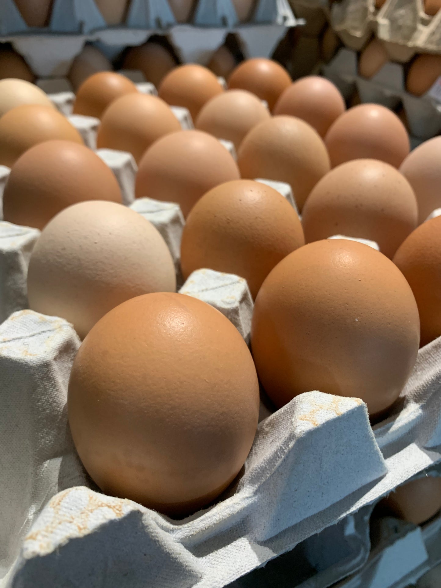 Geraldine Free Range Jumbo 20’s