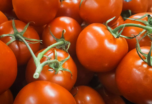 TOMATOES